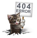 404 Error With A Kitten