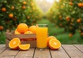 Fresh Orange Juice and Ripe Fruits in Orchard Royalty Free Stock Photo
