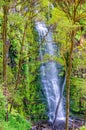 Erskine Falls - Lorne