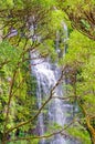 Erskine Falls - Lorne