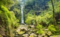 Erskine Falls Waterfall