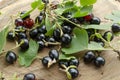 Closeup of blackcurrant with green leaves n the wooden board