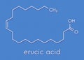 Erucic acid molecule. Monounsaturated omega-9 fatty acid found in some plants. Skeletal formula.