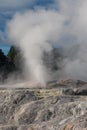 Erupting geyser in Rotorua