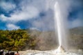 Erupting geysers in New Zealand