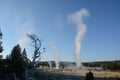 erupting geysers in Yellowstone national park