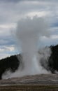 Erupting old faithful geyser, Yellowstone National Park Royalty Free Stock Photo