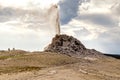 Erupting White dome geyser in Yellowstone National Park, Wyoming, USA