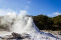 eruption of the Lady Knox Geyser, Wai-O-Tapu Thermal Wonderland, Rotorua, New Zealand Royalty Free Stock Photo