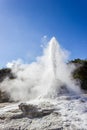 eruption of the Lady Knox Geyser, Wai-O-Tapu Thermal Wonderland, Rotorua, New Zealand Royalty Free Stock Photo