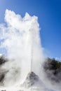 eruption of the Lady Knox Geyser, Wai-O-Tapu Thermal Wonderland, Rotorua, New Zealand Royalty Free Stock Photo