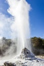 eruption of the Lady Knox Geyser, Wai-O-Tapu Thermal Wonderland, Rotorua, New Zealand Royalty Free Stock Photo