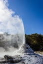 eruption of the Lady Knox Geyser, Wai-O-Tapu Thermal Wonderland, Rotorua, New Zealand Royalty Free Stock Photo