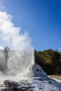 eruption of the Lady Knox Geyser, Wai-O-Tapu Thermal Wonderland, Rotorua, New Zealand Royalty Free Stock Photo