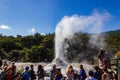 Eruption of the Lady Knox Geyser, Wai-O-Tapu Thermal Wonderland, Rotorua, New Zealand