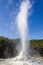 eruption of the Lady Knox Geyser, Wai-O-Tapu Thermal Wonderland, Rotorua, New Zealand Royalty Free Stock Photo