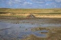 The eruption of mud volcanoes in the steppe