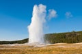 Eruption of Old Faithful geyser at Yellowstone National Park Royalty Free Stock Photo