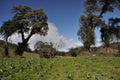 Eruption of Turrialba volcano in Costa Rica seen from the slope of Irazu volcano Royalty Free Stock Photo