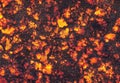Eruption volcano. solidified lava texture