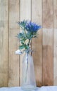 Eryngium planum Blue Sea Holly flowers on wooden background Royalty Free Stock Photo