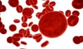 Erythrocyte, red blood cells, anatomy concept