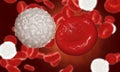 Erythrocyte, red blood cells, anatomy concept Royalty Free Stock Photo