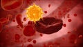 Erythrocyte, red blood cells, virus, bacteria. anatomy medical concept Royalty Free Stock Photo