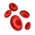 SNn erythrocytes, RBC. Vector illustration Royalty Free Stock Photo