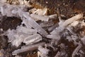 The ice begins to melt and fall from the Roofs of the building