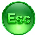 Esc icon green Royalty Free Stock Photo