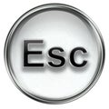 Esc icon grey Royalty Free Stock Photo