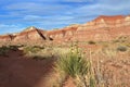 Escalante National Monument with Toadstool Hoodoos Trail in Evening Light, Southwest Desert Landscape, Utah Royalty Free Stock Photo