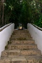 The Escalera del Agua stairs in the Generalife Palace and gardens in the Alhambra Royalty Free Stock Photo