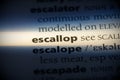 Escallop