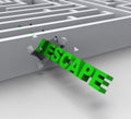 Escape From Maze Shows Liberated Royalty Free Stock Photo