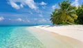 The Ultimate Tropical Beach Getaway with Palm Trees, Pristine White Sand, and an Idyllic Coastline Royalty Free Stock Photo