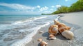 Tropical Beach Landscape with Seashells - Perfect for Summer Holiday Royalty Free Stock Photo