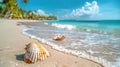 Tropical Beach Landscape with Seashells - Perfect for Summer Holiday Royalty Free Stock Photo