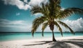 A palm tree swaying in the breeze on a tropical beach, with white sand and turquoise water in the background.