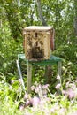 Special box - swarm trap, used to catch a swarmed bee colony Royalty Free Stock Photo