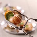 Escargot, bourgogne snail Royalty Free Stock Photo