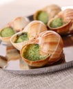 Escargot, bourgogne snailn Royalty Free Stock Photo