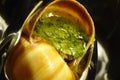 Escargot closeup Royalty Free Stock Photo