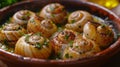 Escargot: Delicate snails baked in garlic and herb butter, a classic French delicacy. Royalty Free Stock Photo
