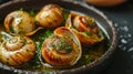 Escargot: Delicate snails baked in garlic and herb butter, a classic French delicacy. Royalty Free Stock Photo