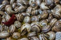 Escargot, a dish of cooked land snails Royalty Free Stock Photo