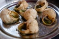 Escargot served in a plate Royalty Free Stock Photo