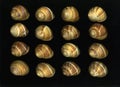 Escargot Shells Royalty Free Stock Photo