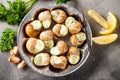 Escargots de Bourgogne Royalty Free Stock Photo